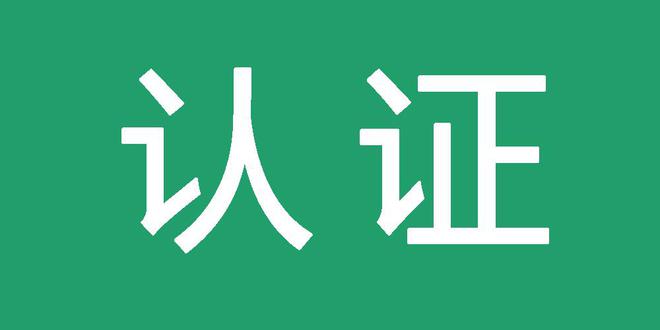 500强企业seo服务商